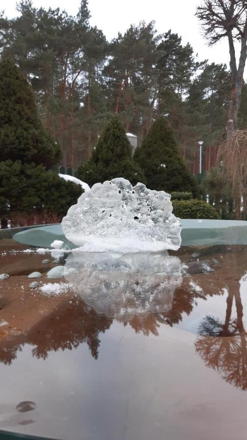 Kranto Vila Palanga Bagian luar foto