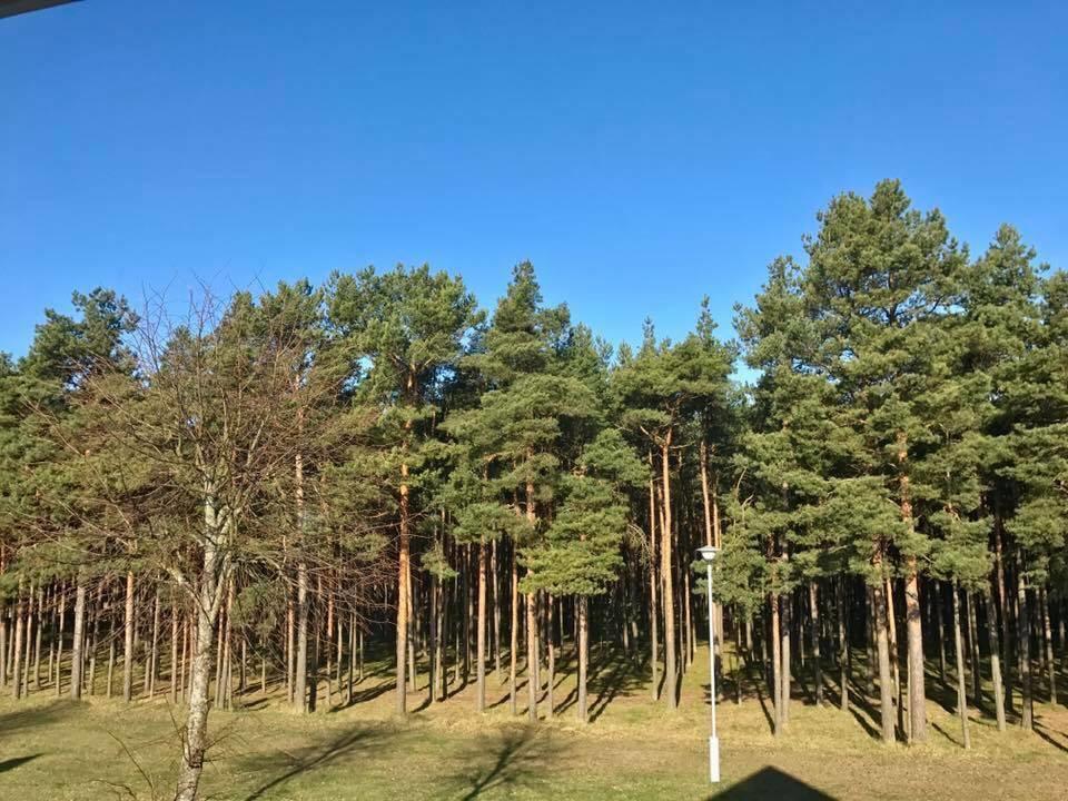 Kranto Vila Palanga Bagian luar foto